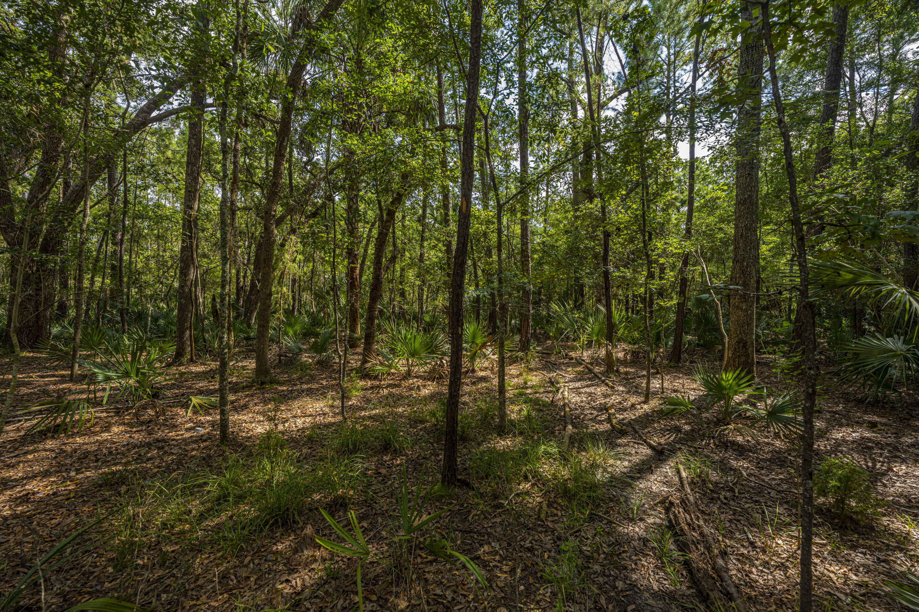 3605 Deer Creek Road Mount Pleasant, SC 29466 - Photo 36 of 37 DSC_8811
