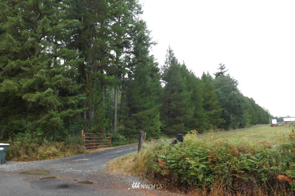0 Gray Road, Unit LOT 1 Toledo, WA 98591 - Photo 4 of 8 Gallery Image 4