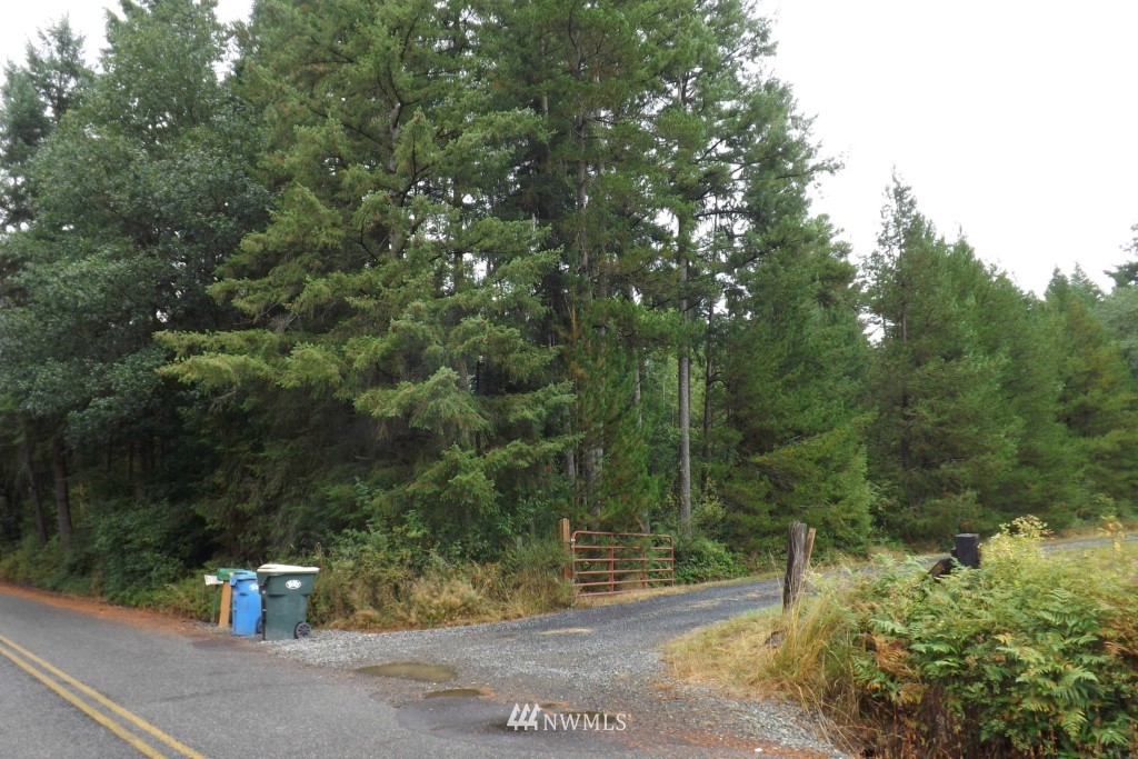 0 Gray Road, Unit LOT 1 Toledo, WA 98591 - Photo 5 of 8 Gallery Image 5