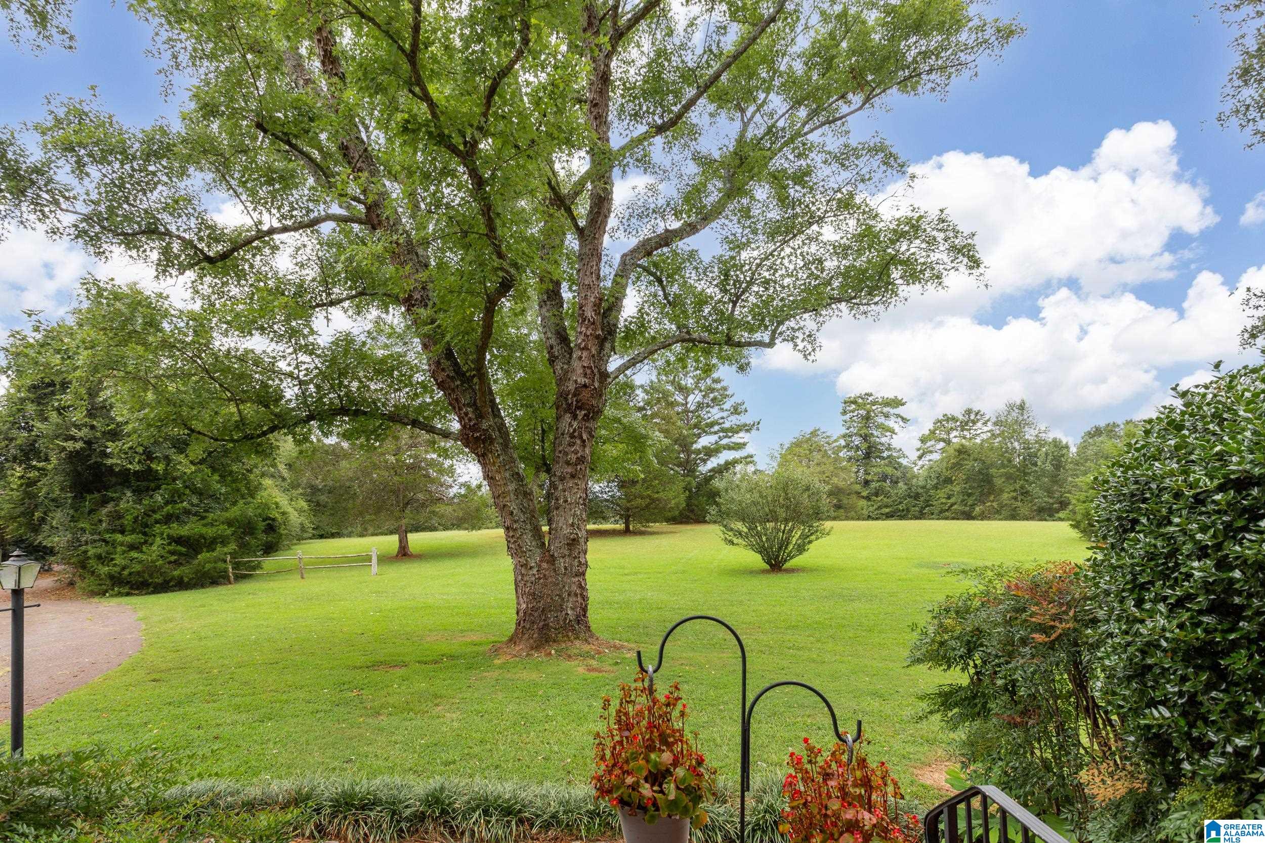 1213 Pelham Road North Jacksonville, AL 36265 - Photo 32 of 37