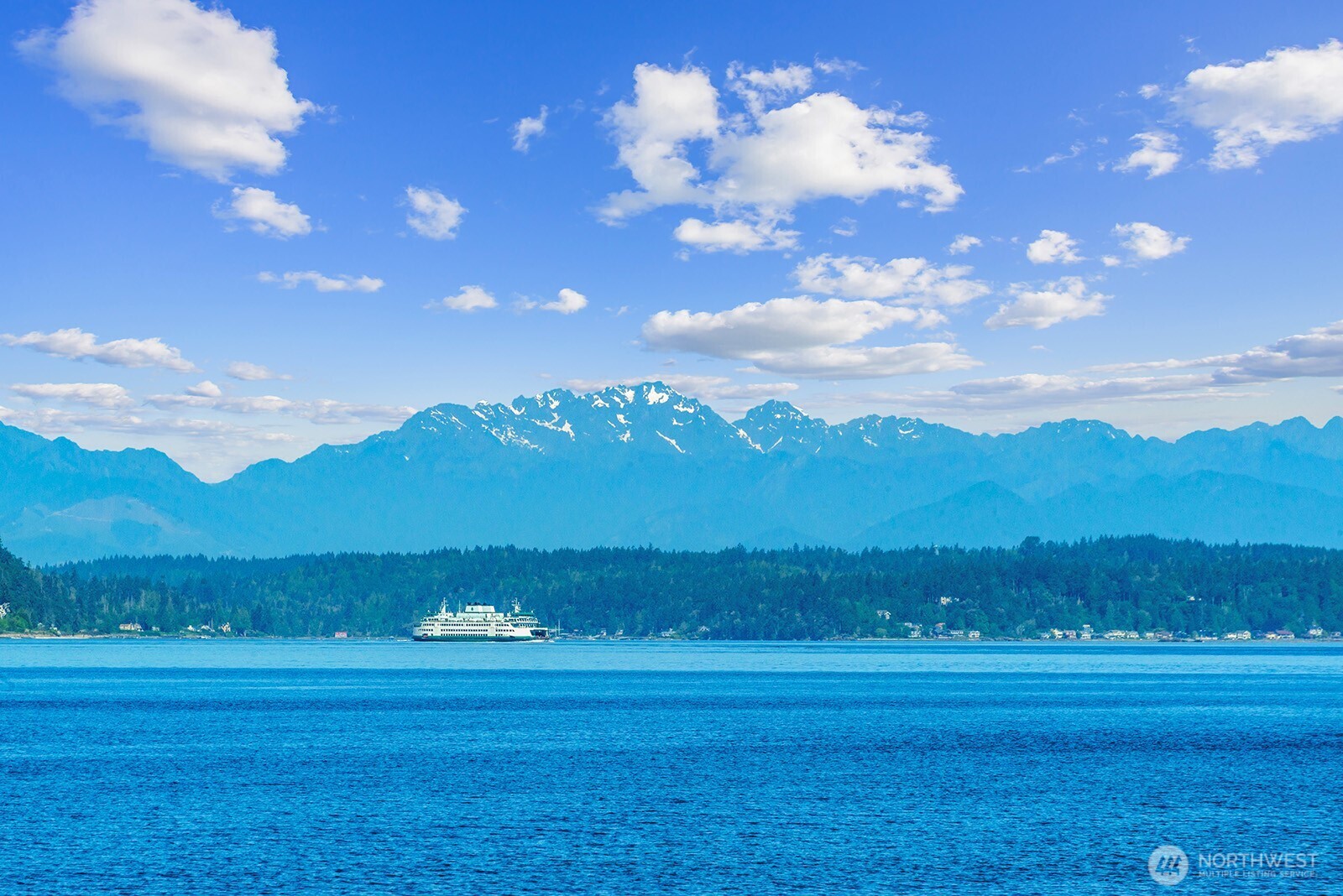 3717 Beach Drive Southwest, Unit 113 Seattle, WA 98116 - Photo 37 of 38