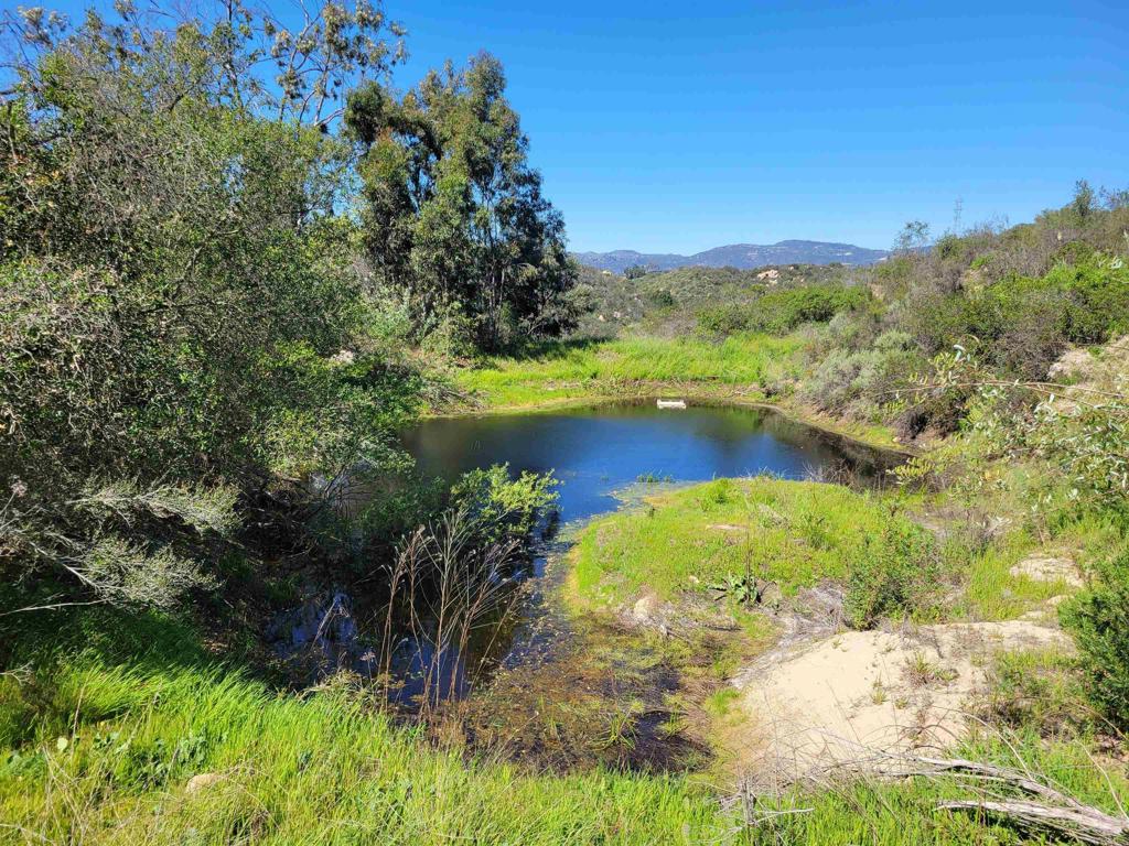 2494 Donnil Lane Fallbrook, CA 92028 - Photo 21 of 62 a view of a lake with houses in the background