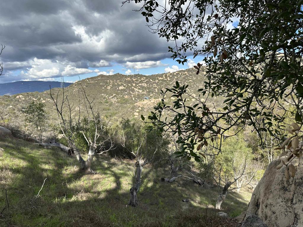 2494 Donnil Lane Fallbrook, CA 92028 - Photo 50 of 62 a view of a city with lots of trees