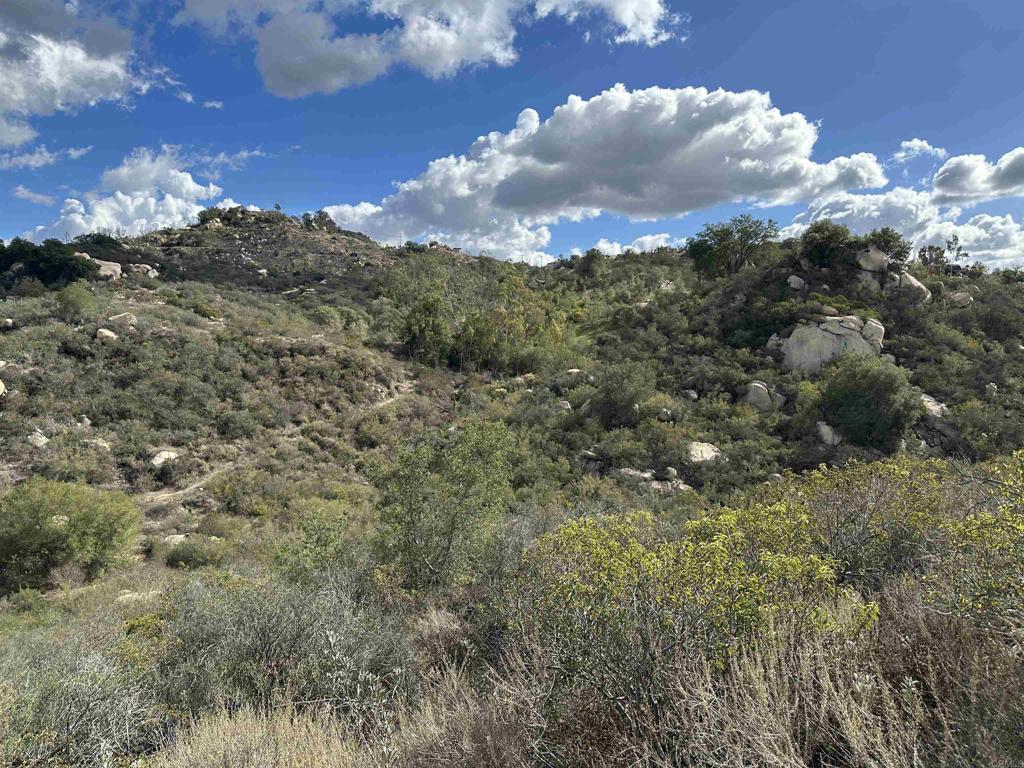 2494 Donnil Lane Fallbrook, CA 92028 - Photo 54 of 62 a view of a bunch of trees