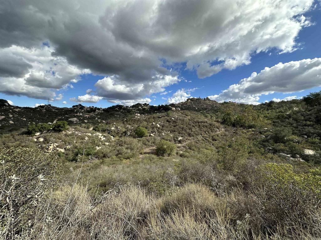 2494 Donnil Lane Fallbrook, CA 92028 - Photo 55 of 62 a view of a city