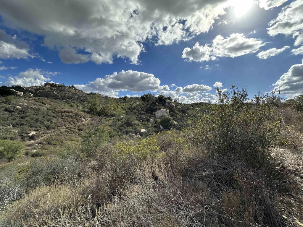 2494 Donnil Lane Fallbrook, CA 92028 - Photo 56 of 62 a view of a yard