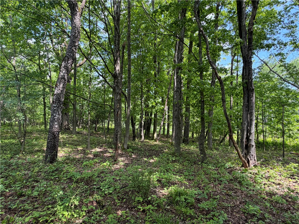 Vl Reed Road Dansville, NY 14437 - Photo 10 of 29