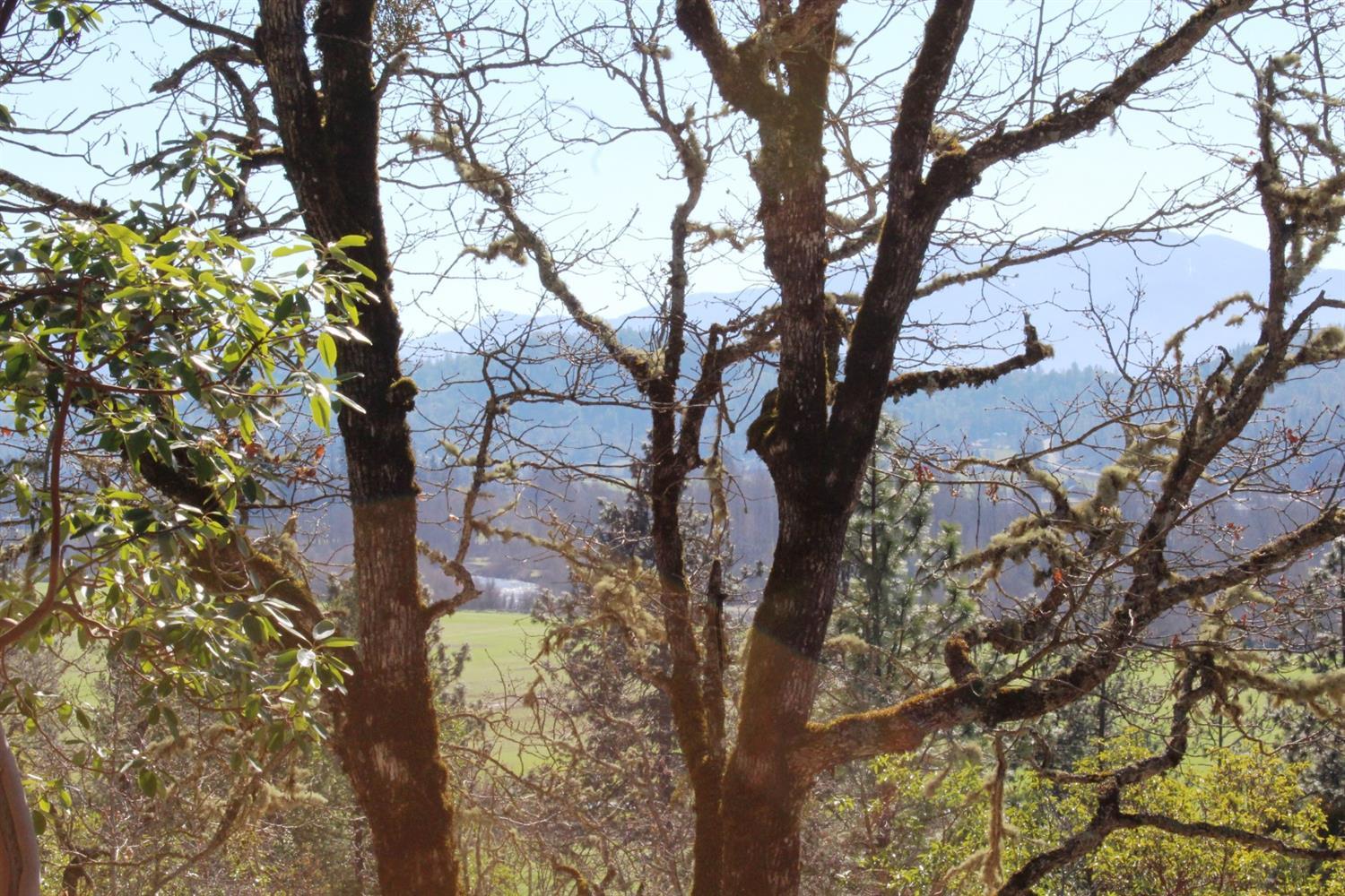 11628 North Applegate Road Grants Pass, OR 97527 - Photo 12 of 14 a view of tree