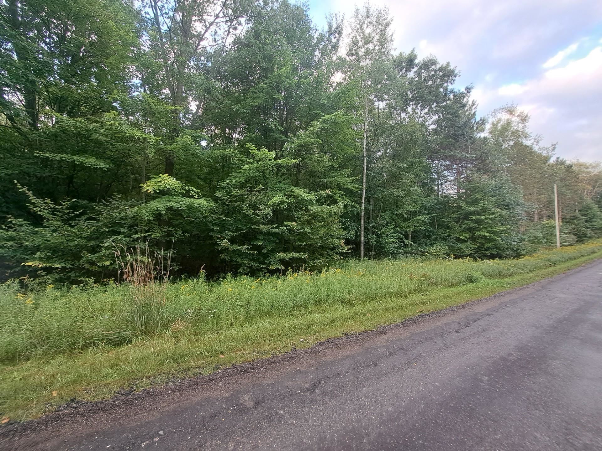 Tbd Monroe Road Harrison, MI 48625 - Photo 1 of 3
