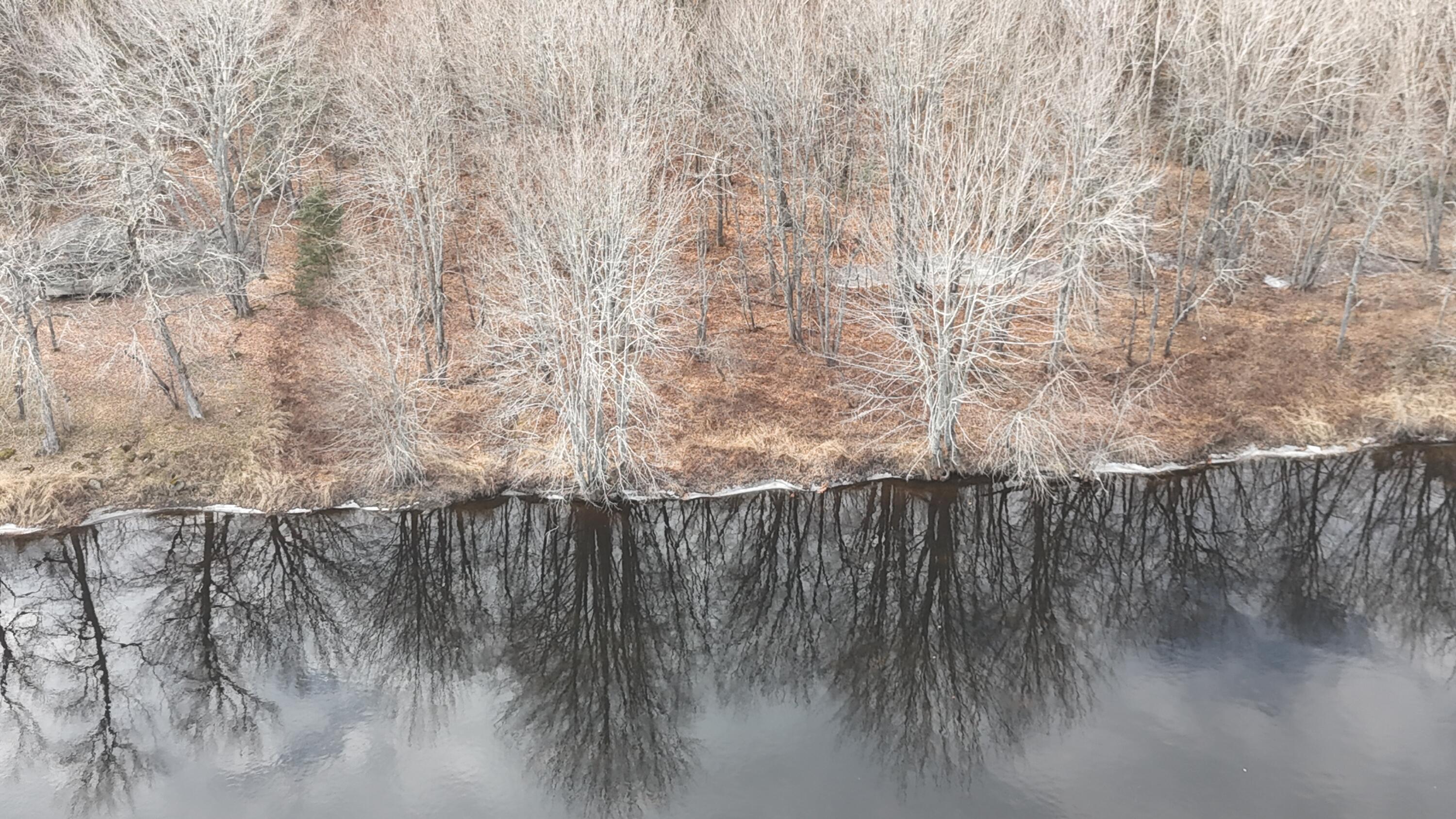 Map4-lot33 Edinburg Road Howland, ME 04448 - Photo 12 of 23 DJI_20231201122530_0013_D
