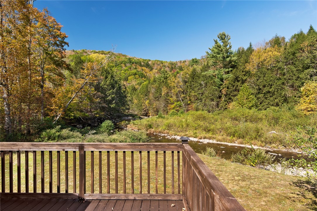 2429 Dry Brook Road Arkville, NY 12406 - Photo 30 of 39