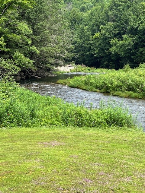 2429 Dry Brook Road Arkville, NY 12406 - Photo 35 of 39