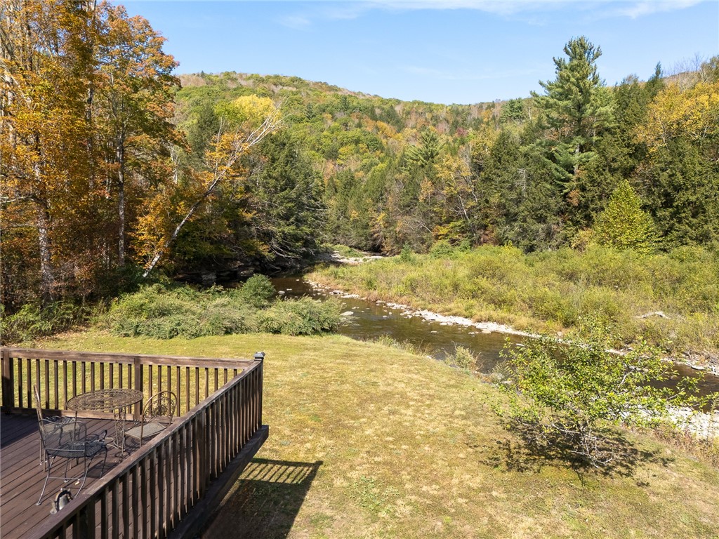 2429 Dry Brook Road Arkville, NY 12406 - Photo 5 of 39
