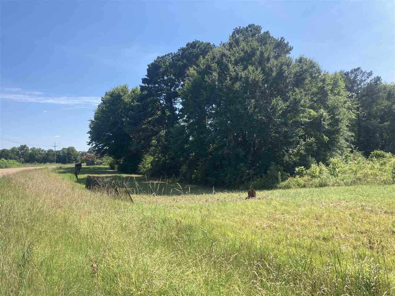 0 Midway Road, Unit 496430317 Benton, MS 39039 - Photo 4 of 6 Photo 4