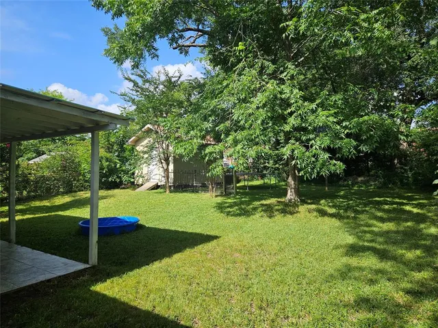 a view of a park with large trees