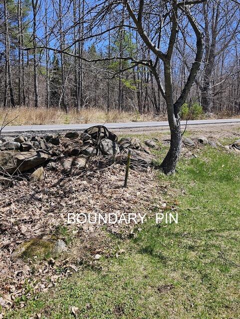 412 Weld Road Wilton, ME 04294 - Photo 69 of 83 Line pin