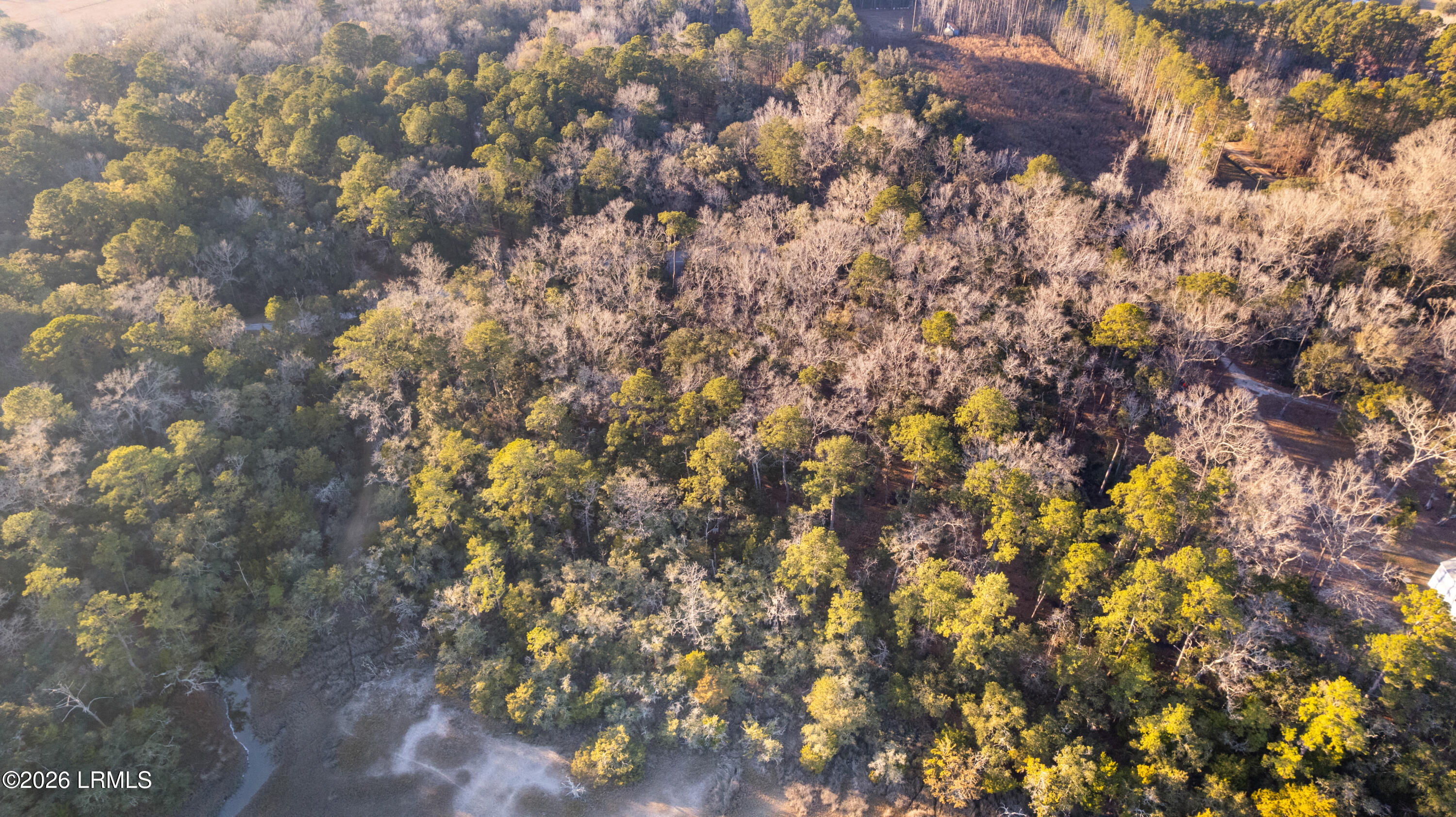 45 Huspah Court South Sheldon, SC 29940 - Photo 12 of 26 45 Huspah Ct - 12