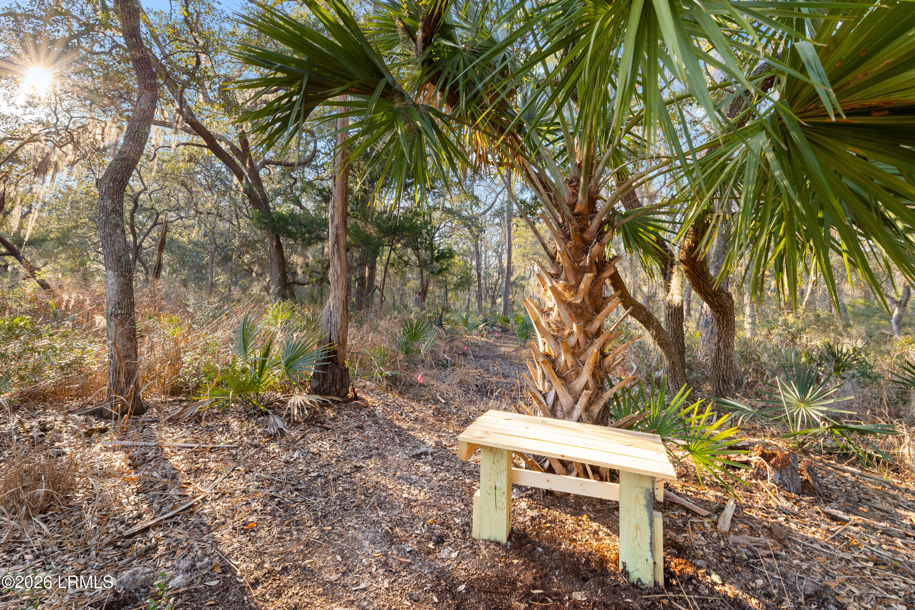 45 Huspah Court South Sheldon, SC 29940 - Photo 4 of 26 45 Huspah Ct - 3