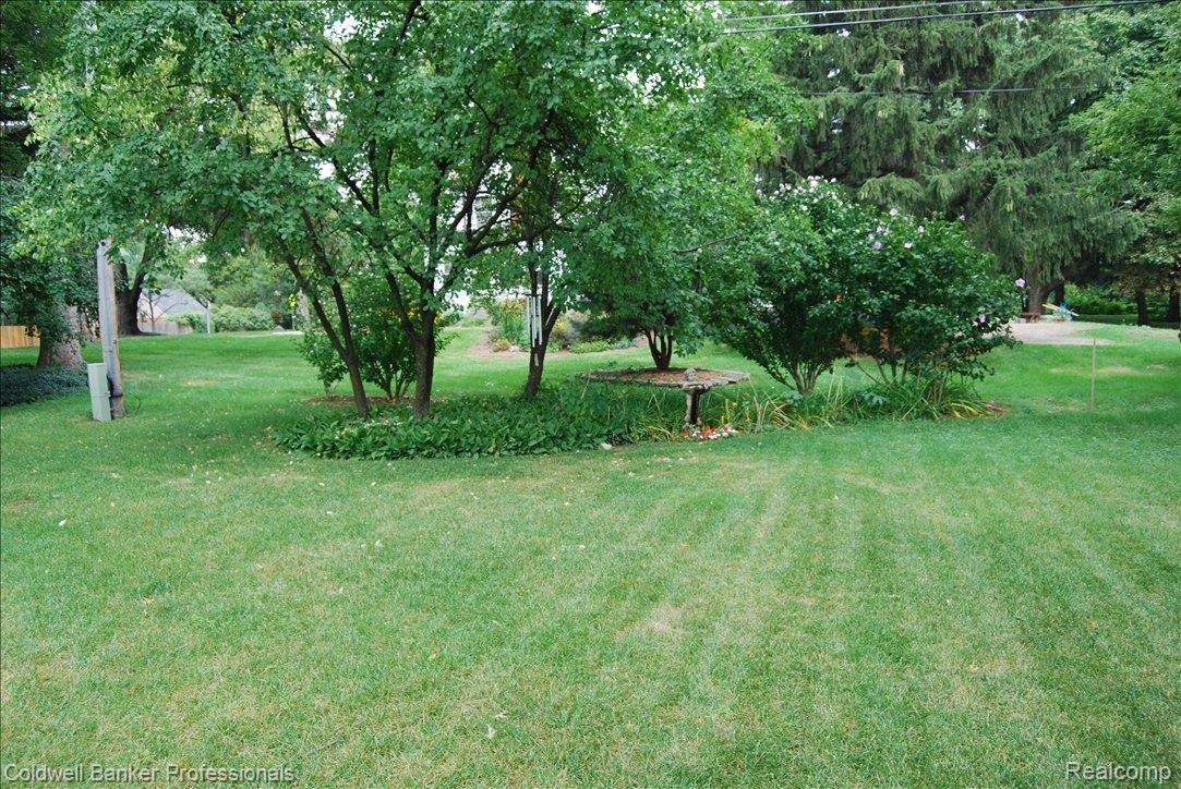 626 North Adams Road Birmingham, MI 48009 - Photo 23 of 25 SIDEYARD