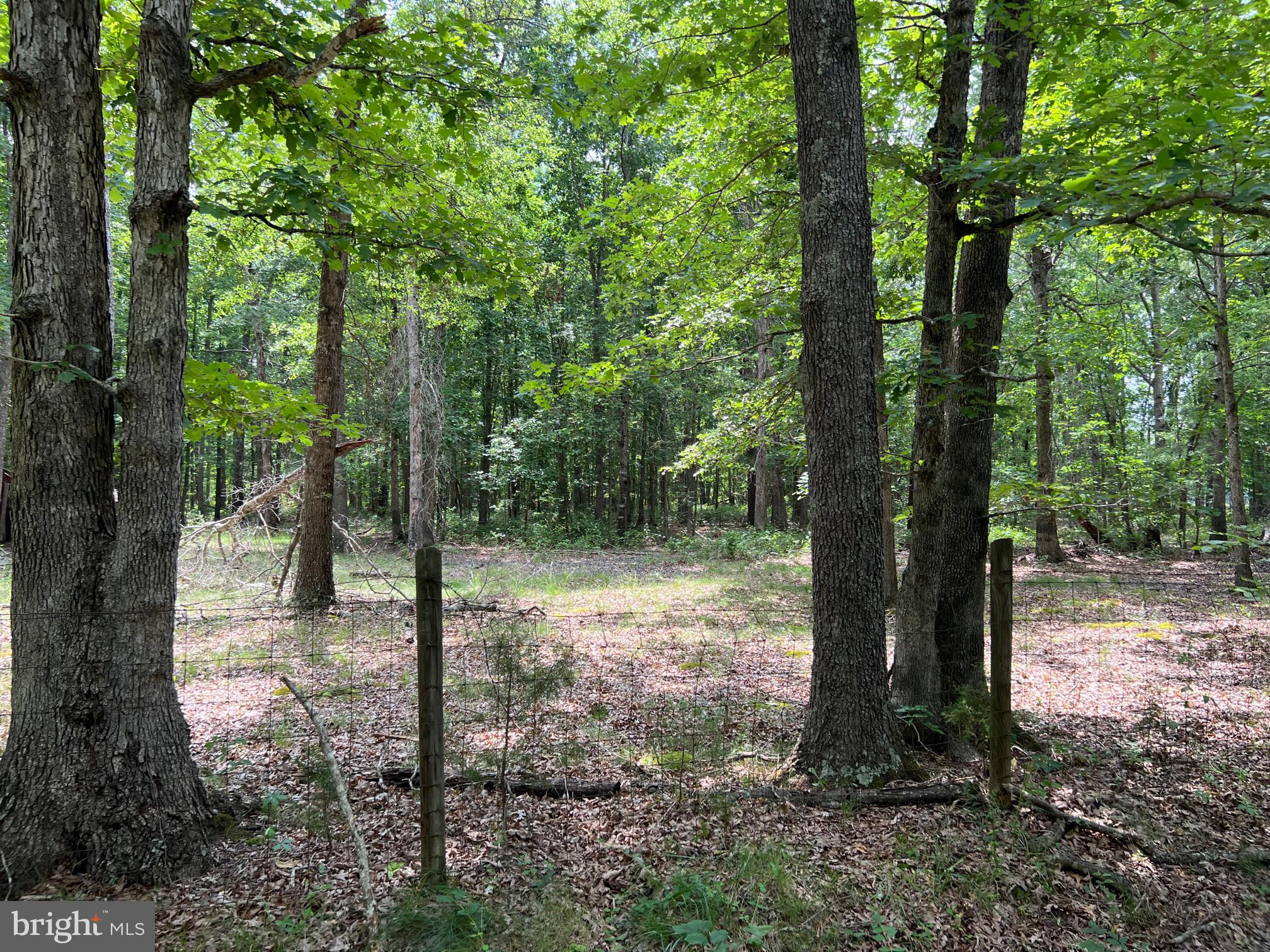 0 Mt Pony Road Culpeper, VA 22701 - Photo 2 of 2 Gallery Image 2