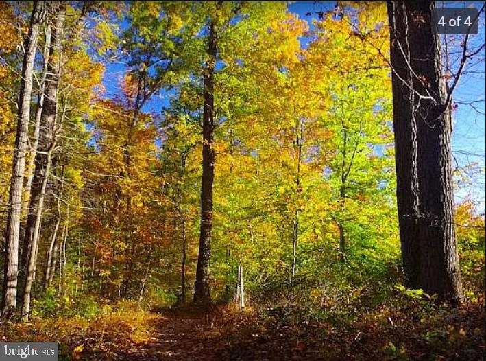 0 Robcaste Road Phoenix, MD 21131 - Photo 2 of 3 a view of a yard with flower plants