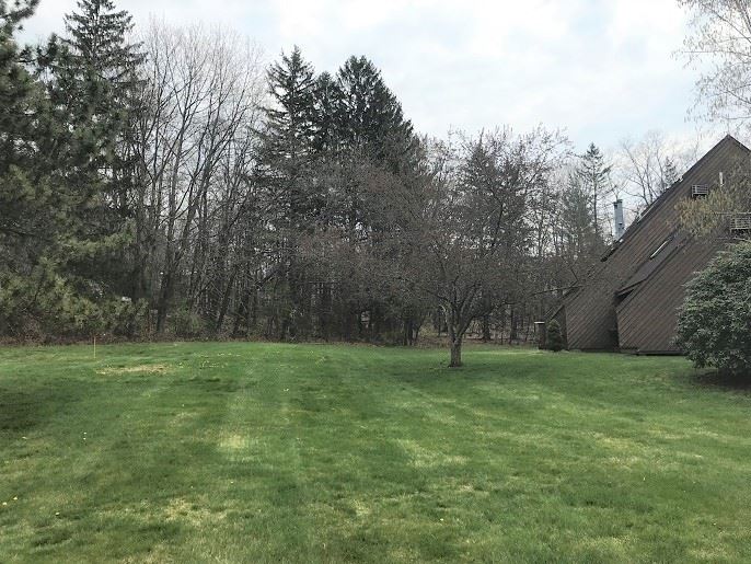 25 Spring Cove Road Nashua, NH 03062 - Photo 5 of 24