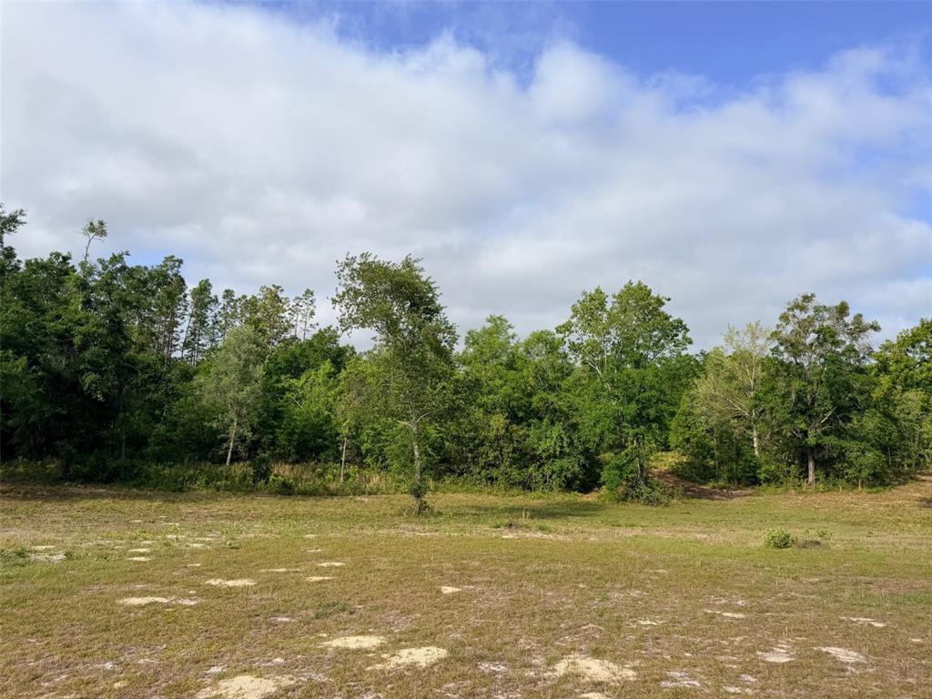 10730 198th Terrace O'Brien, FL 32071 - Photo 28 of 29 a view of a field with trees in the background