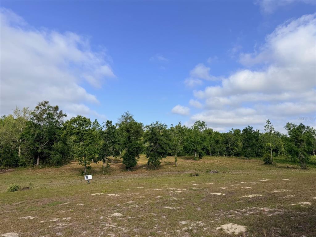 10730 198th Terrace O'Brien, FL 32071 - Photo 4 of 29 a view of a field with trees in background