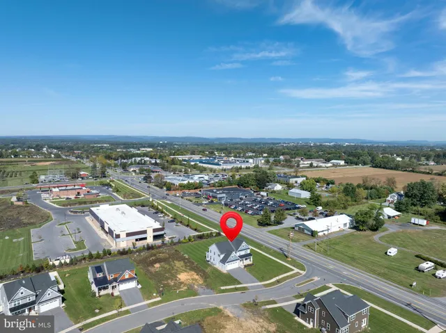a view of a house with a big yard potted plants and large tree
