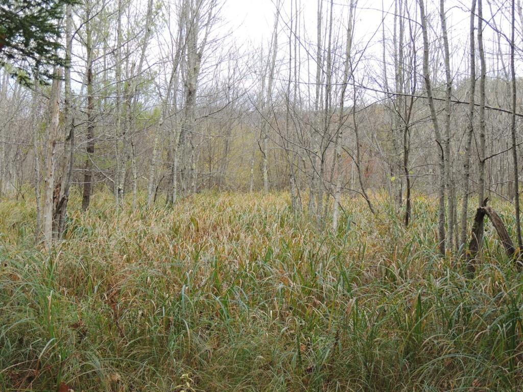 442 Molyneaux Road Camden, ME 04843 - Photo 5 of 11 Photo
