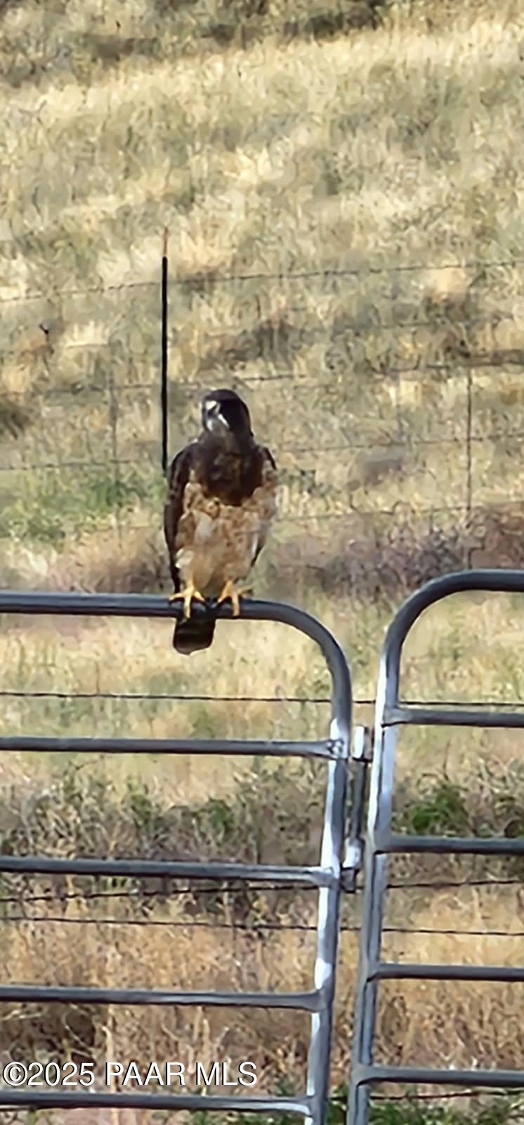 1445 South Table Mountain Road Chino Valley, AZ 86323 - Photo 76 of 81 image000003