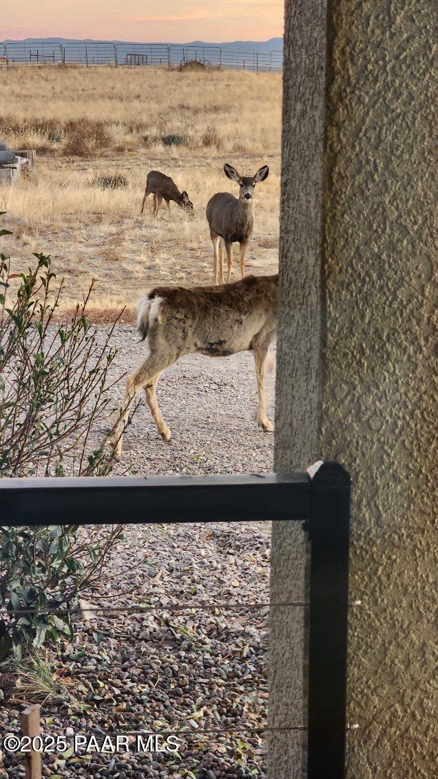 1445 South Table Mountain Road Chino Valley, AZ 86323 - Photo 77 of 81 a view of wooden floor