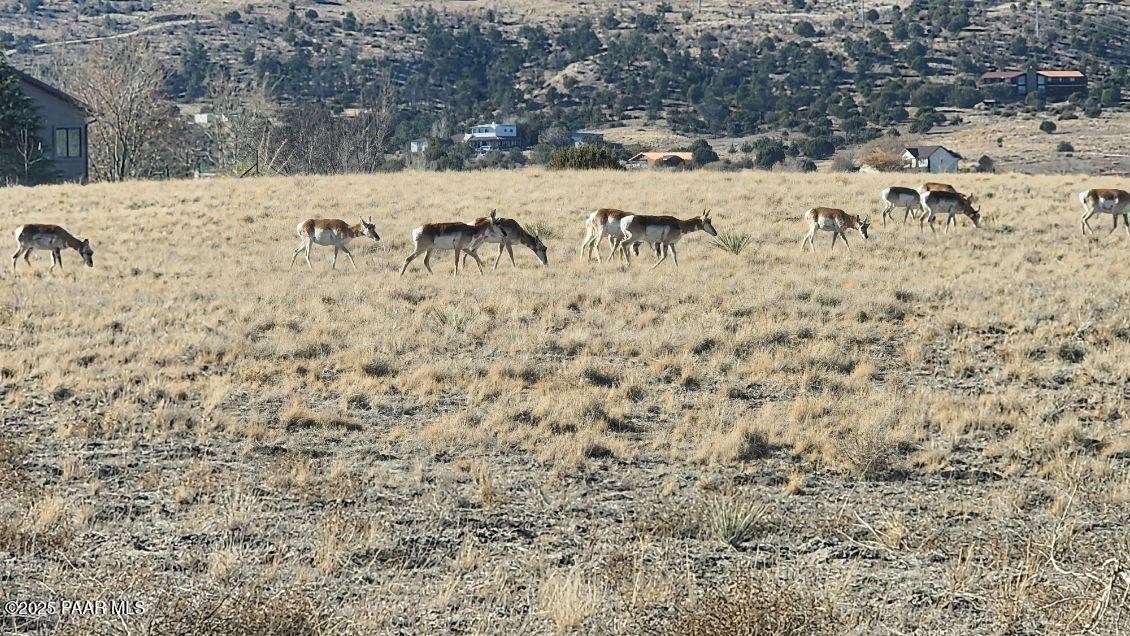 1445 South Table Mountain Road Chino Valley, AZ 86323 - Photo 78 of 81 image000001