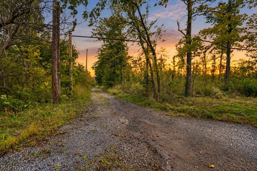 3705 Alexander Road Atwater, OH 44201 - Photo 3 of 13 Private gravel driveway with electric utility poles located on the property