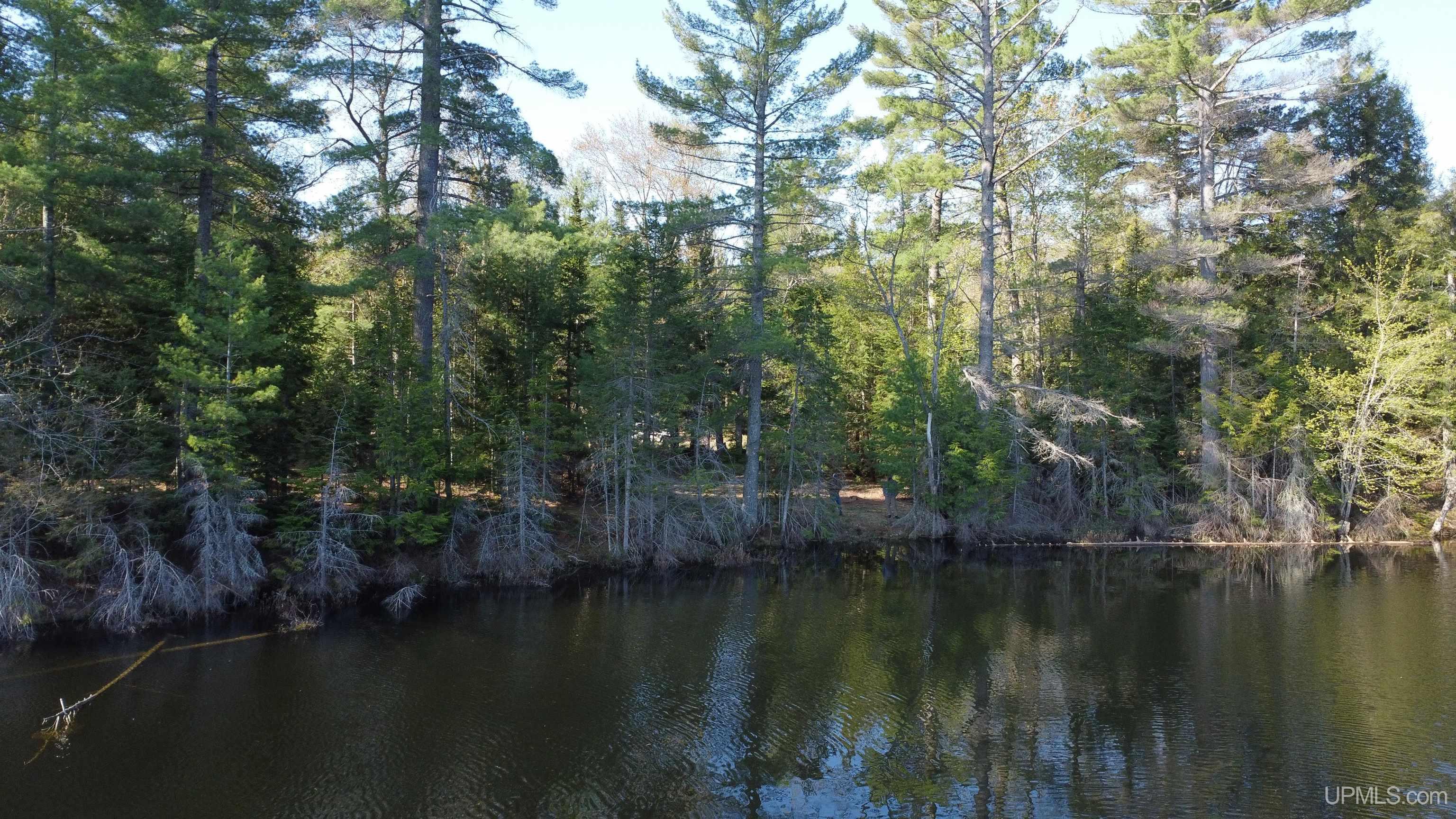 On Wolf Lake Road McMillan, MI 49853 - Photo 29 of 37