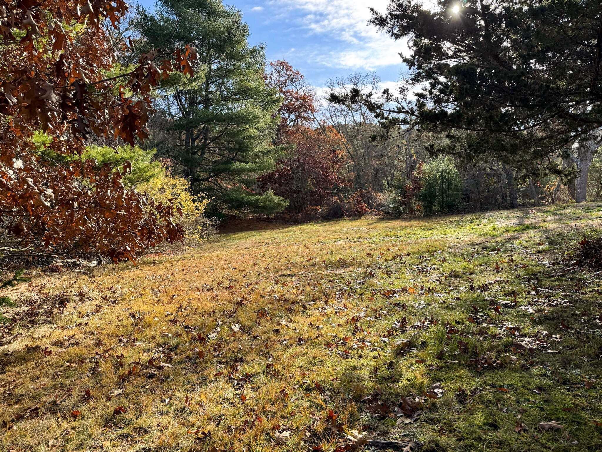 30 Pond Street Osterville, MA 02655 - Photo 12 of 26 a view of empty yard