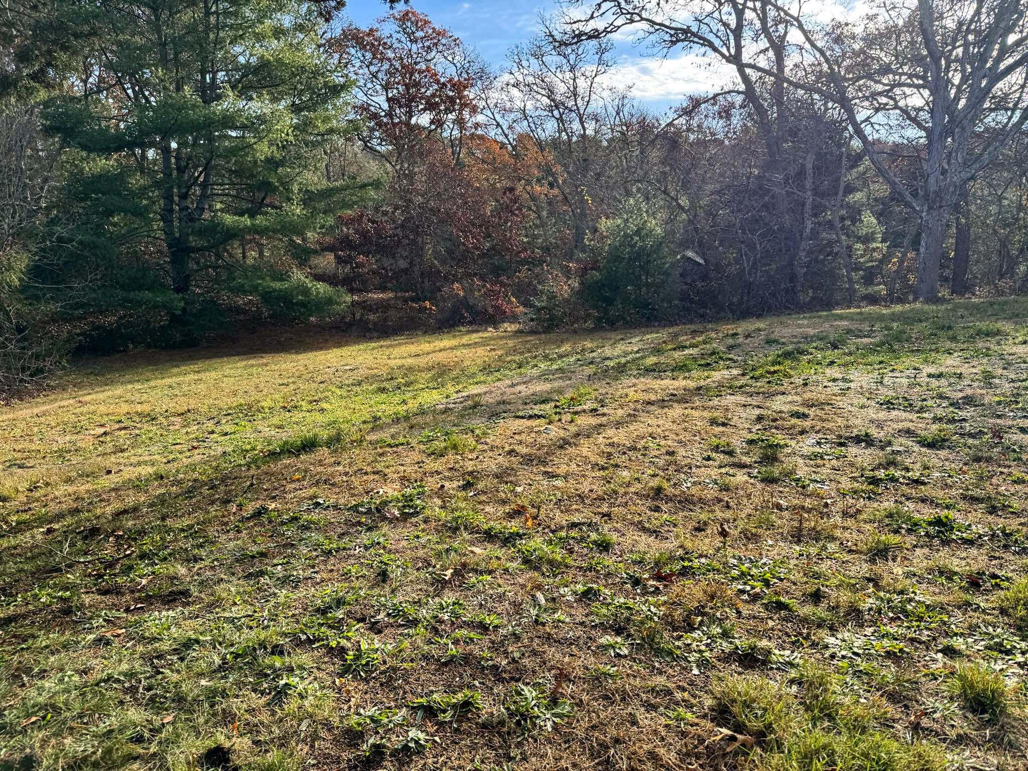 30 Pond Street Osterville, MA 02655 - Photo 15 of 26 a view of a yard with an trees