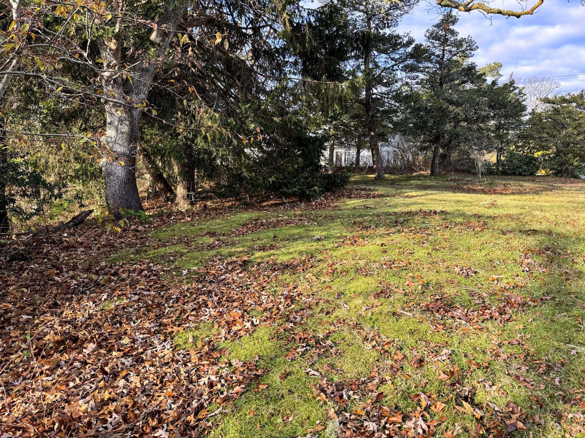 30 Pond Street Osterville, MA 02655 - Photo 16 of 26 a view of a yard with a trees