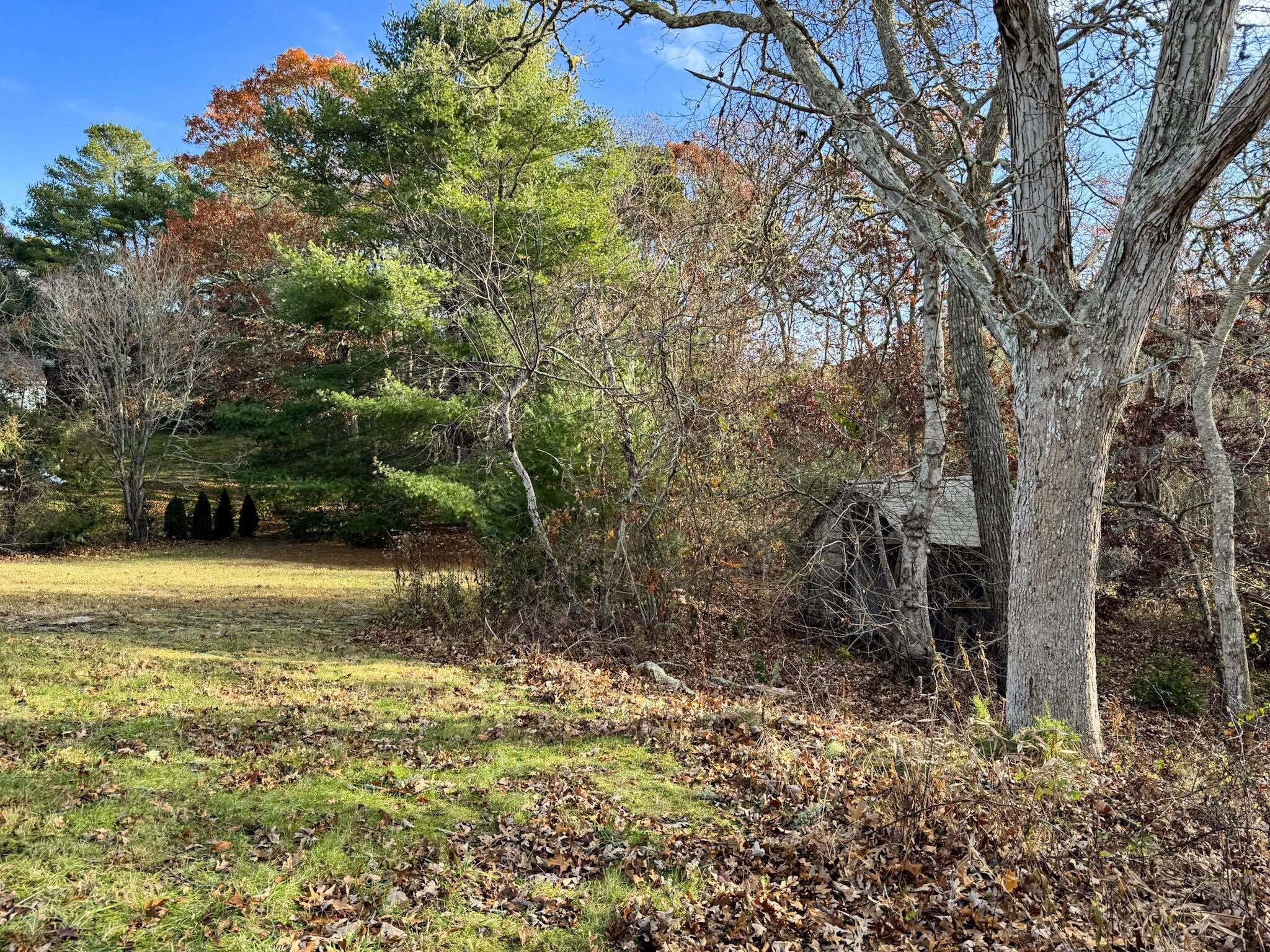 30 Pond Street Osterville, MA 02655 - Photo 20 of 26 a view of a yard with an trees
