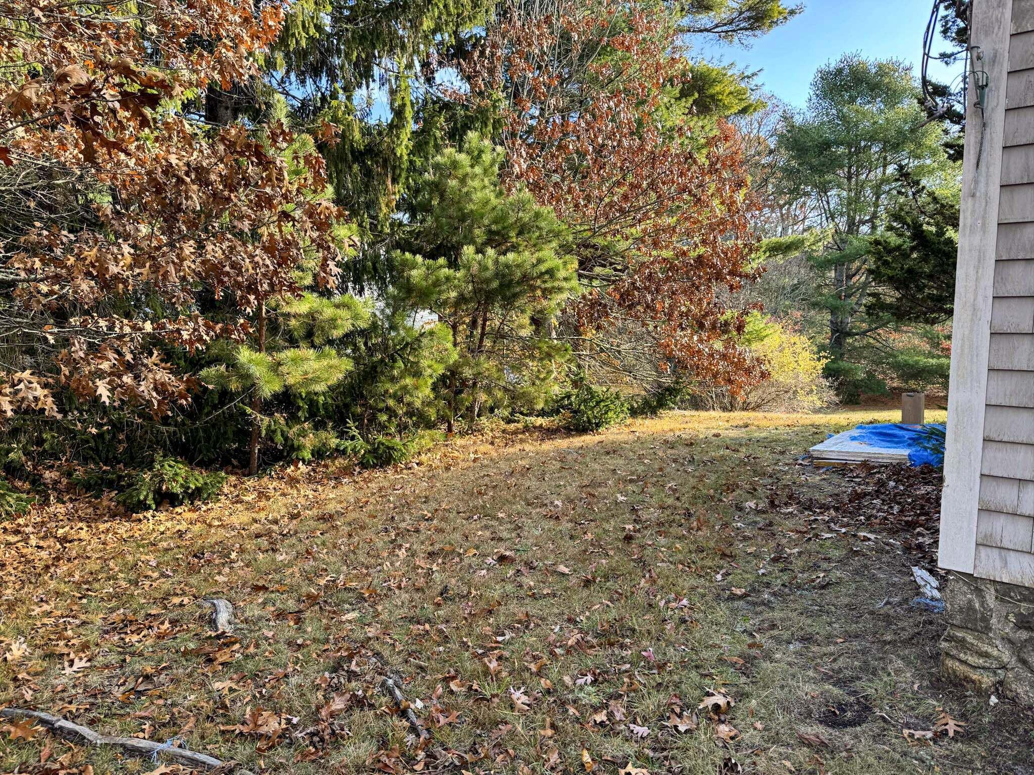 30 Pond Street Osterville, MA 02655 - Photo 10 of 26 a view of a yard with a tree