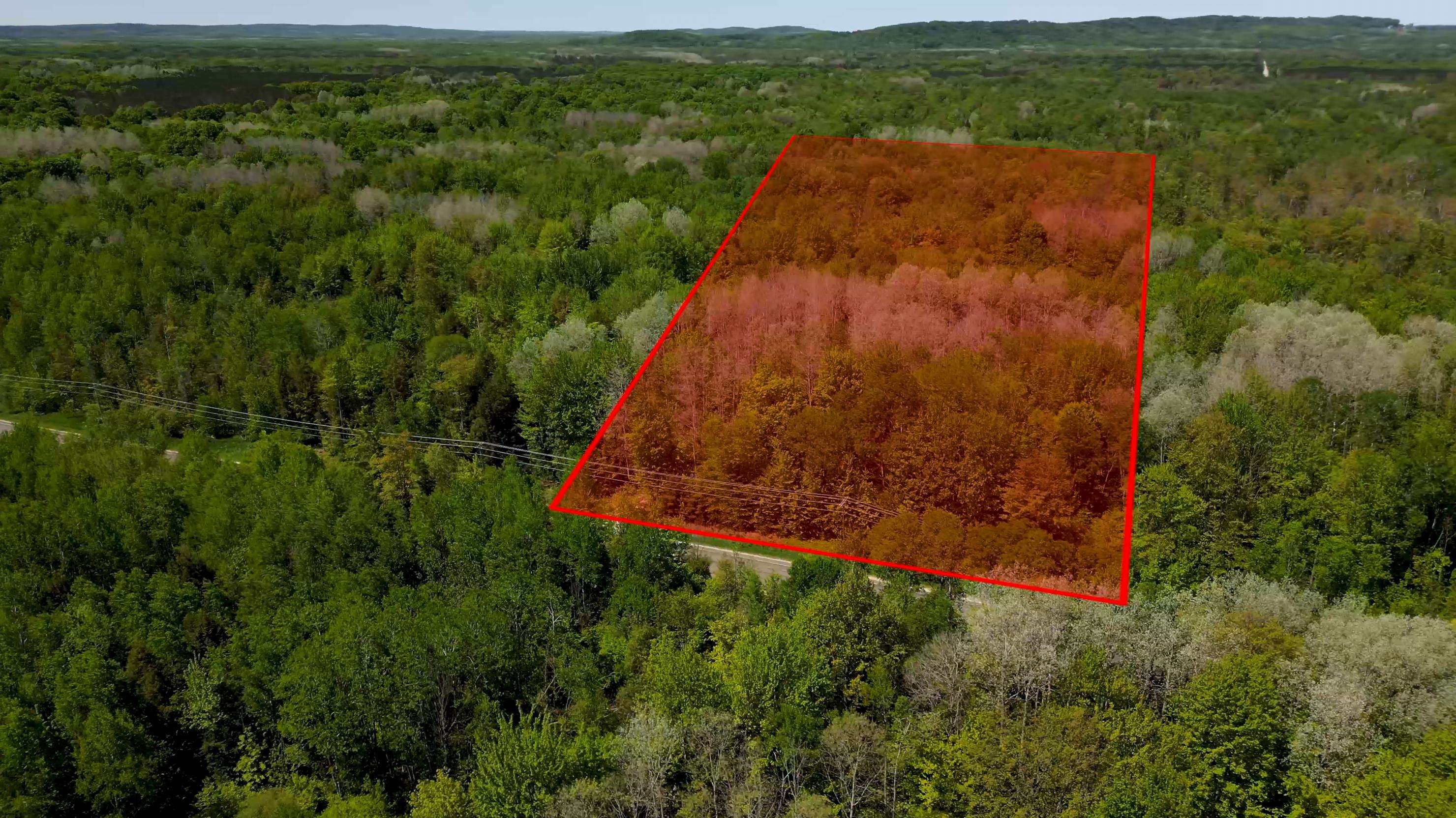 16862 Healy Lake Road Thompsonville, MI 49683 - Photo 9 of 32