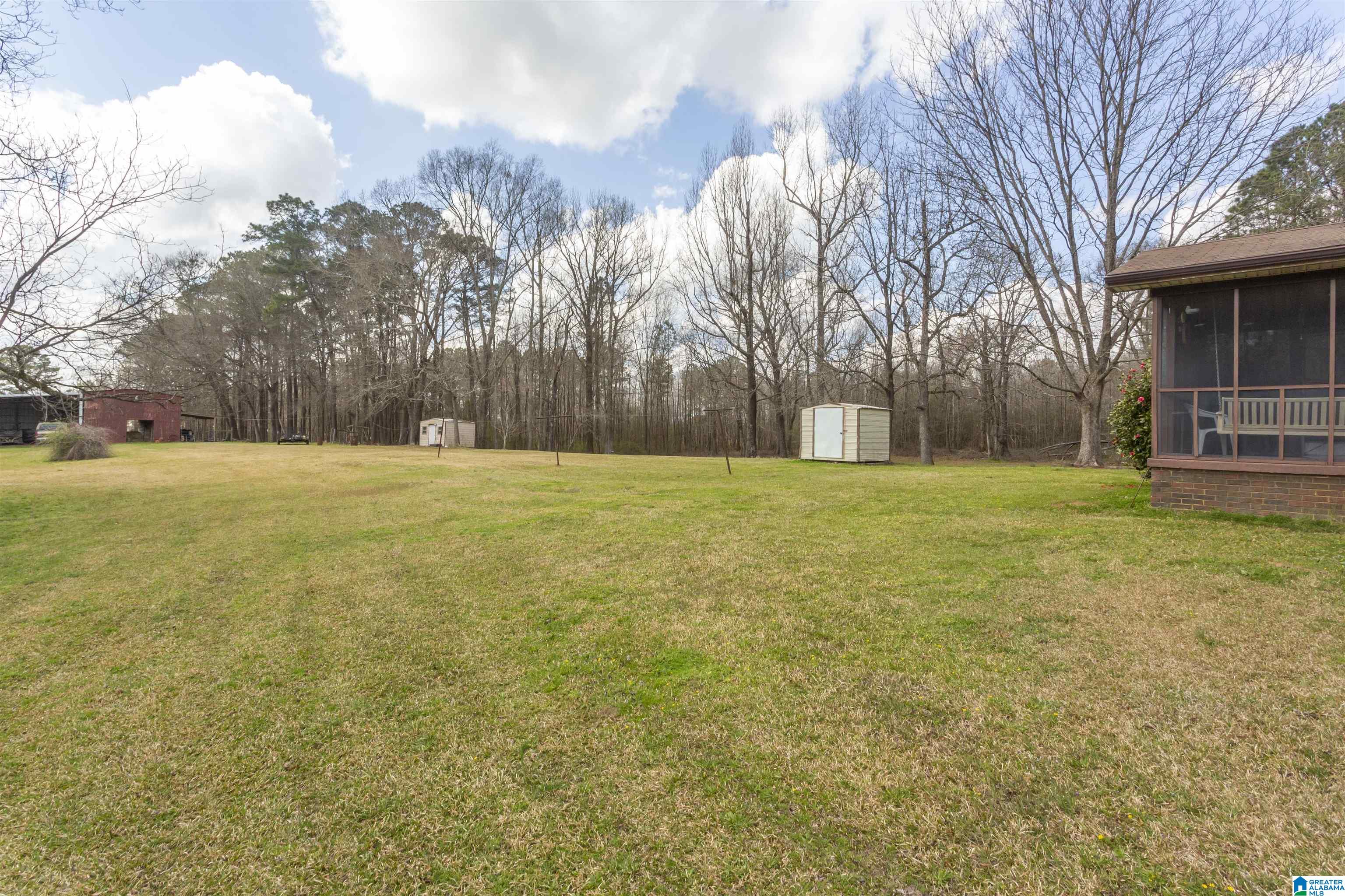 115 Thomas Road Sumiton, AL 35148 - Photo 4 of 46