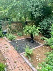 2312 15th Street, Unit B Columbus, GA 31906 - Photo 30 of 30 a view of a yard with plants and large trees