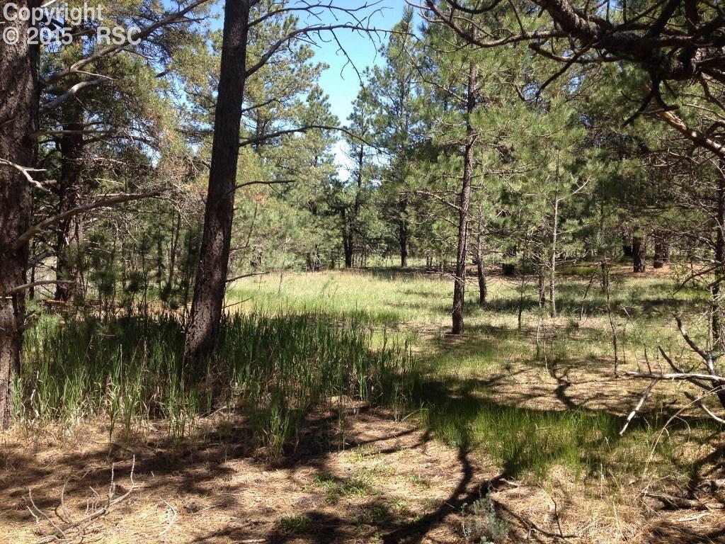 12270 Dawson Road Elbert, CO 80106 - Photo 1 of 12