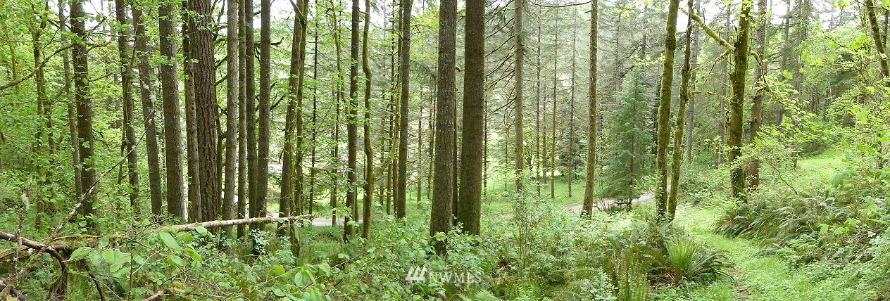 4311 Kalama River Road Kalama, WA 98625 - Photo 34 of 40 Gallery Image 34