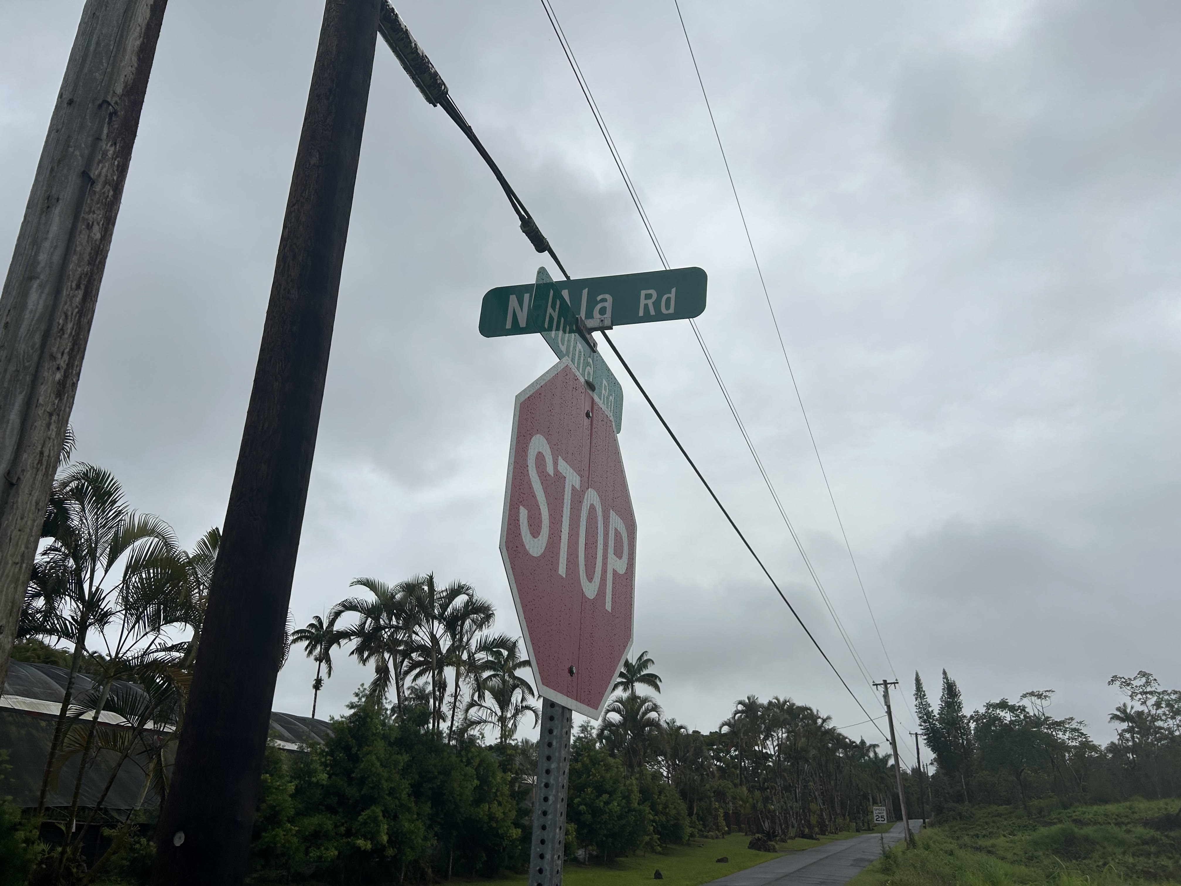 17-4531 South Road Mountain View, HI 96771 - Photo 4 of 4