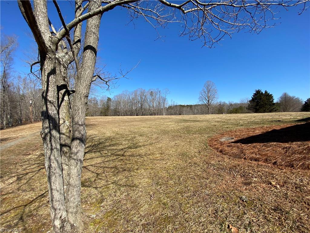 1130 Fred Merritt Road King, NC 27021 - Photo 7 of 50