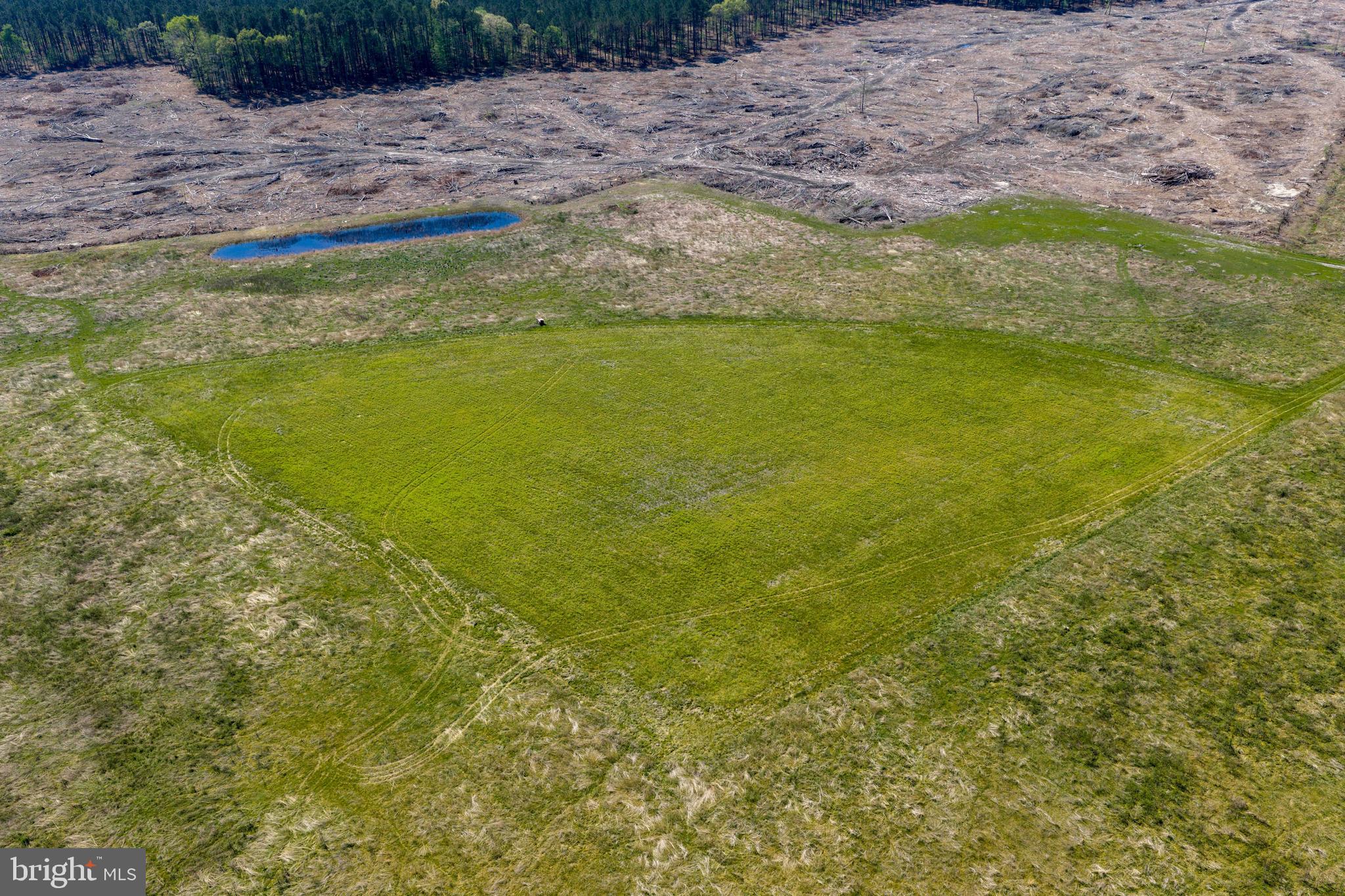 0 Colona Road Pocomoke City, MD 21851 - Photo 13 of 25