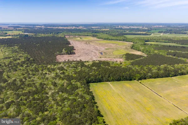 $1,650,000 | 0 Colona Road, Pocomoke City, MD 21851