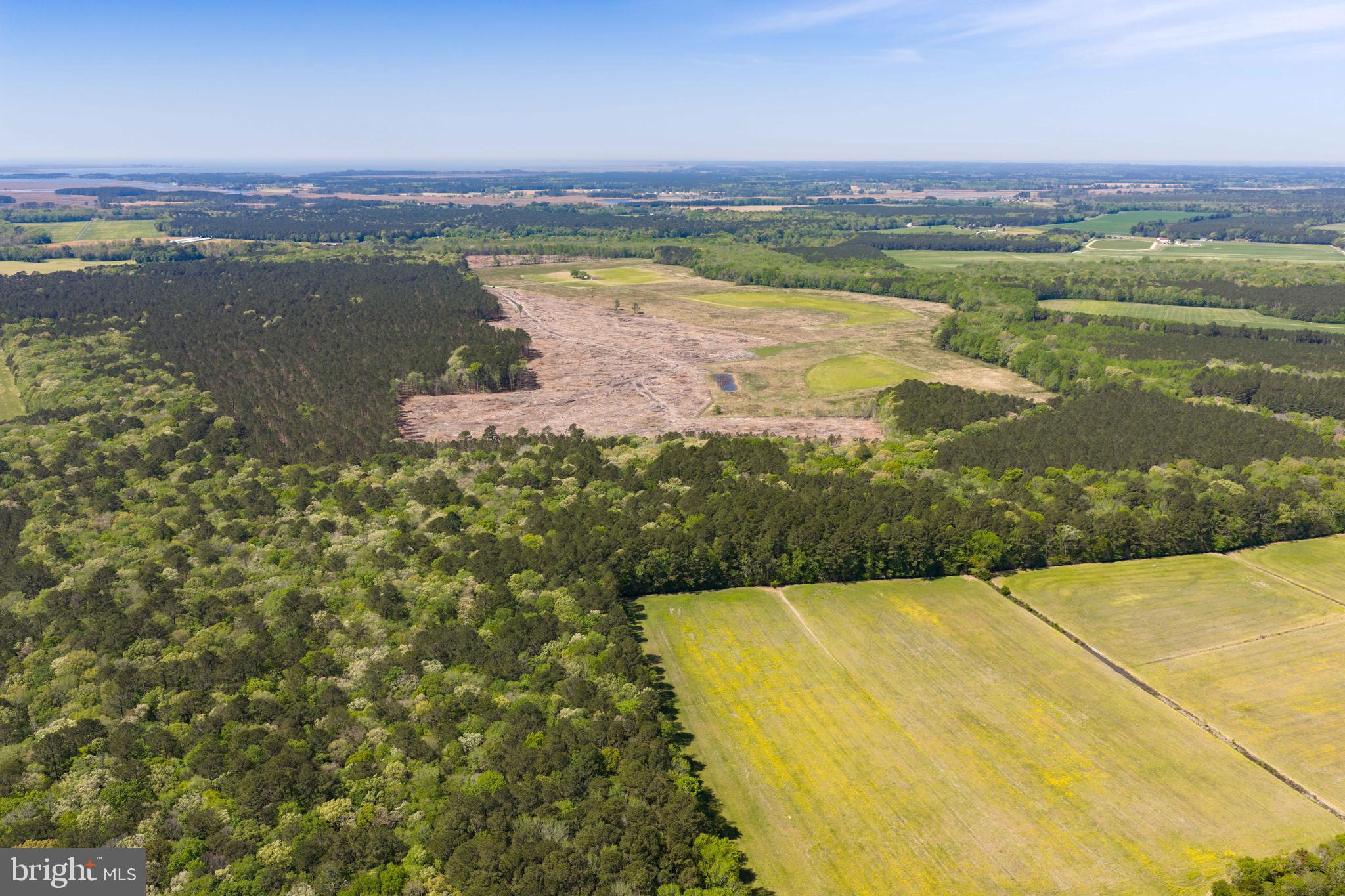 0 Colona Road Pocomoke City, MD 21851 - Photo 14 of 25